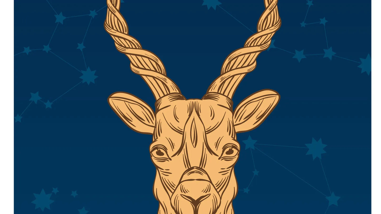 CAPRICORN (Twin Flame EXTENDED-FEBRUARY 2023 OR TIMELESS)